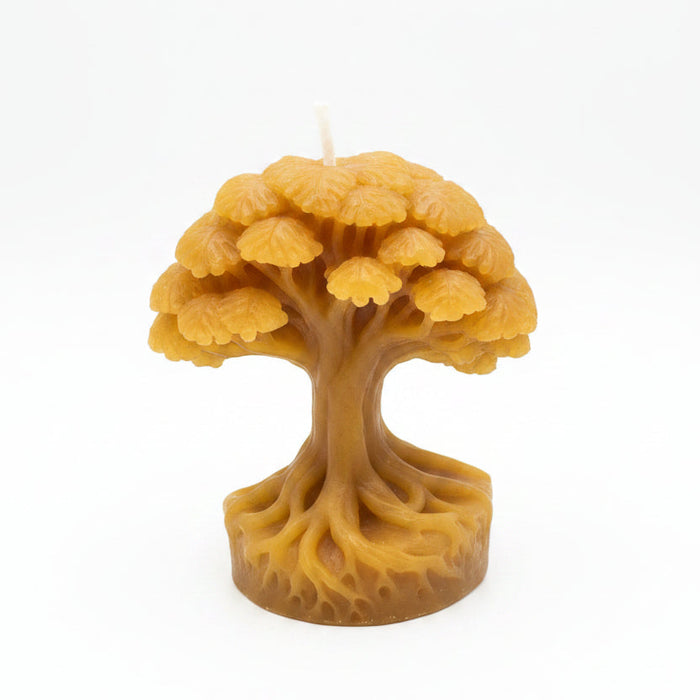 Beeswax Tree Candle
