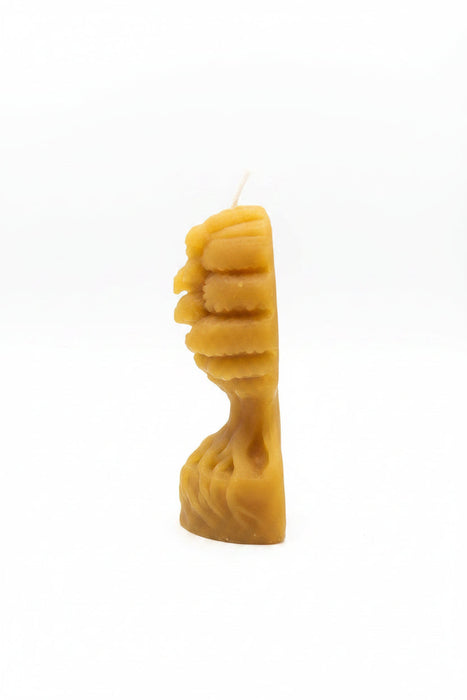 Beeswax Tree Candle