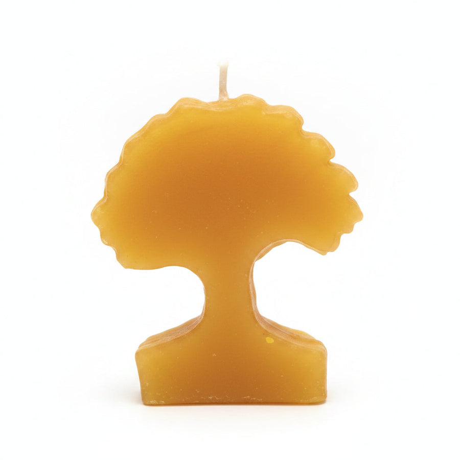 Beeswax Tree Candle