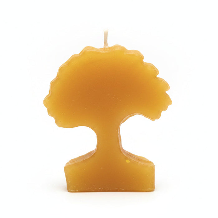 Beeswax Tree Candle