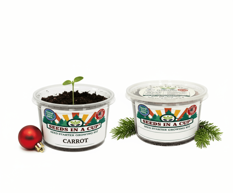 Carrot Grow Kit | Seeds In A Cup®