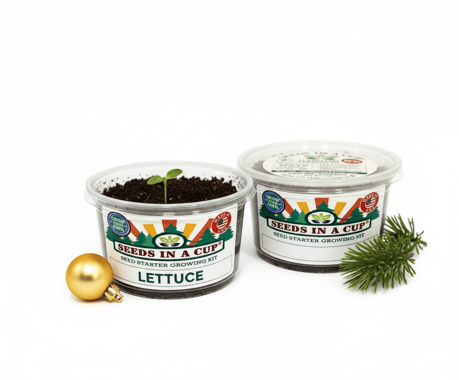 Lettuce Grow Kit | Seeds In A Cup®