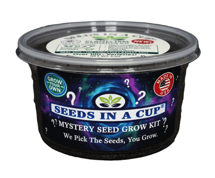 Mystery Plant Grow Kit — Surprise Seeds In A Cup® with Premium Soil, Non‑GMO Seeds, Dual‑Purpose Lid/Saucer, and Easy How‑to‑Grow Instructions