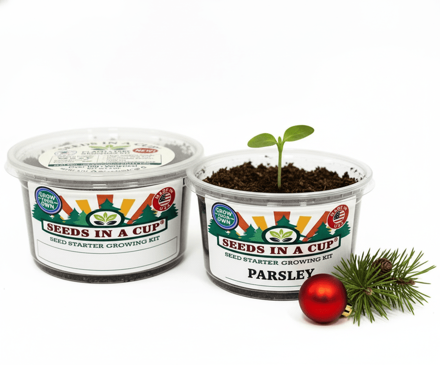 Parsley Grow Kit | Seeds In A Cup®