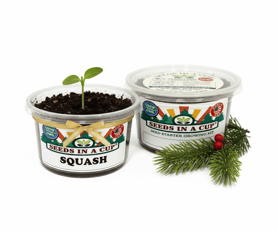 Squash Grow Kit | Seeds In A Cup®