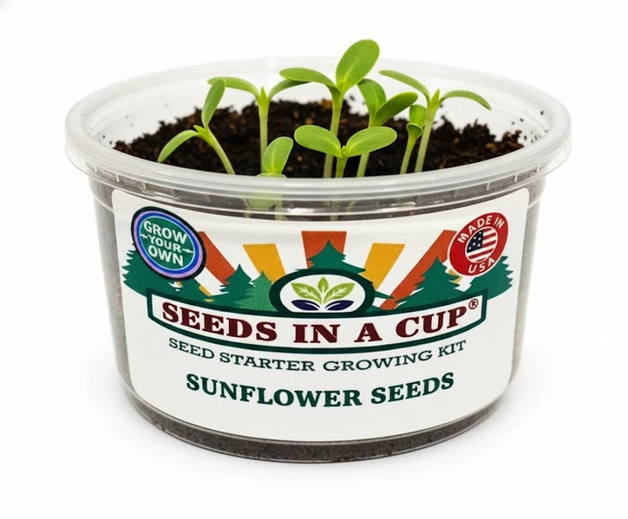 Sunflower Grow Kit | Seeds In A Cup®