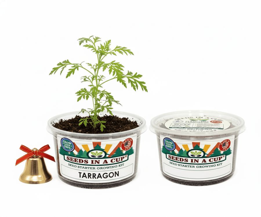 Tarragon Grow Kit | Seeds In A Cup®