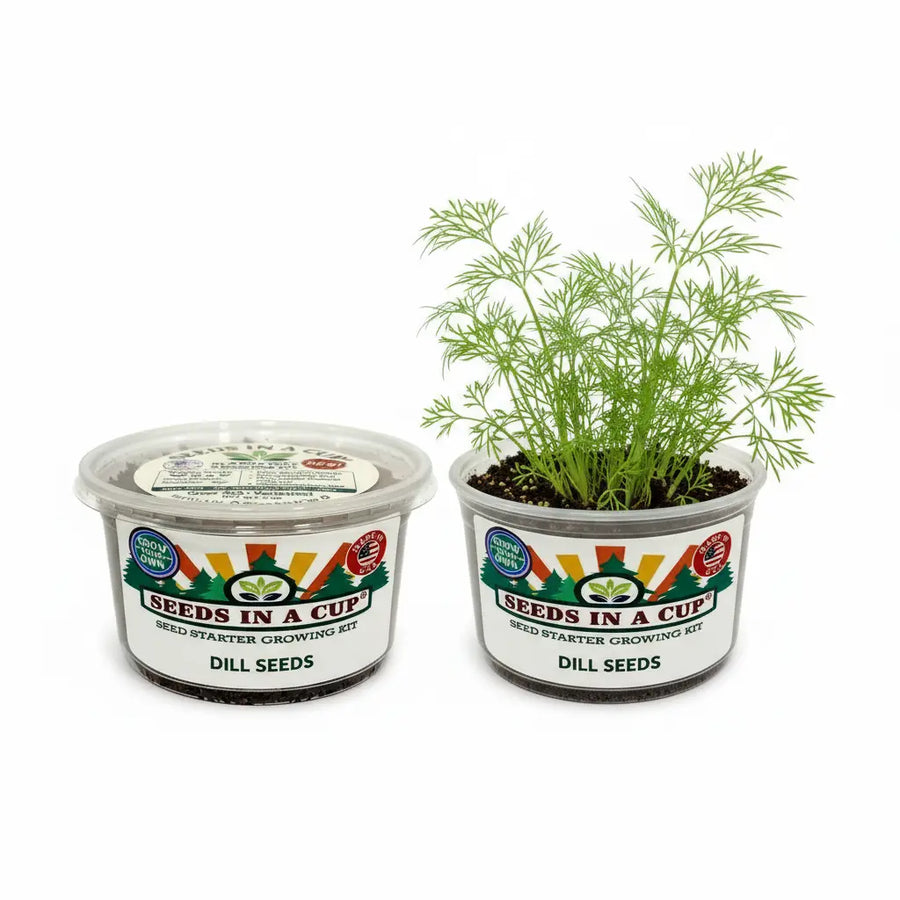 Dill Grow Kit | Seeds In A Cup®