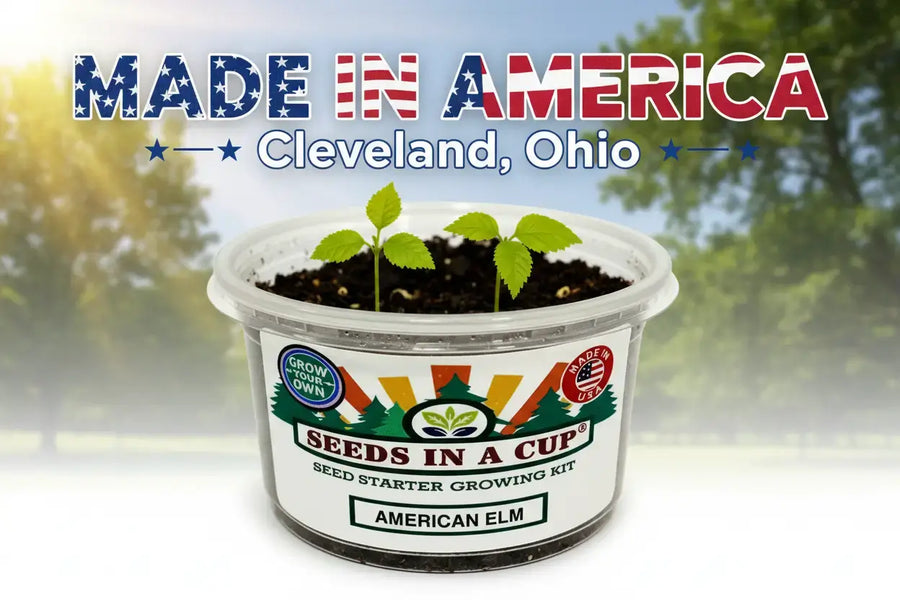 Gourd Grow Kit | Seeds In A Cup®