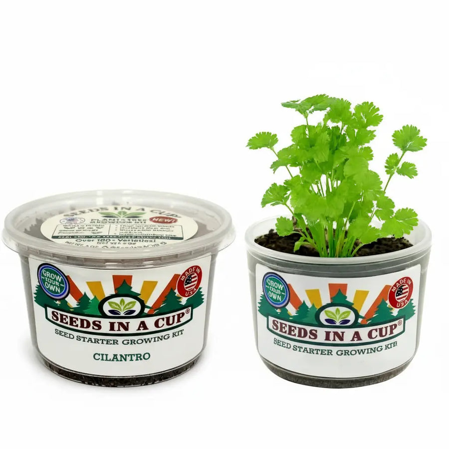 Papaya Grow Kit | Seeds In A Cup®
