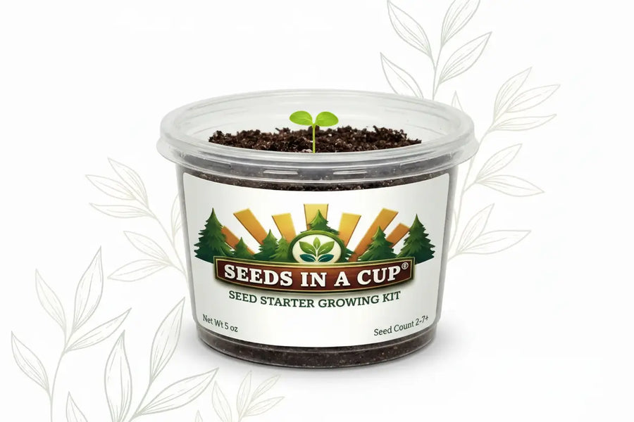 Anise Grow Kit | Seeds In A Cup®