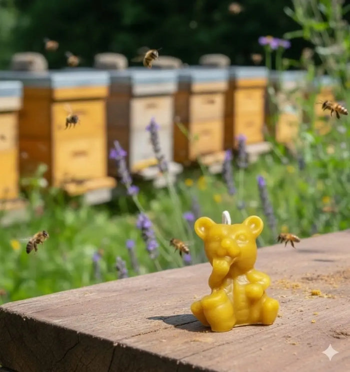 Small Honey Bear