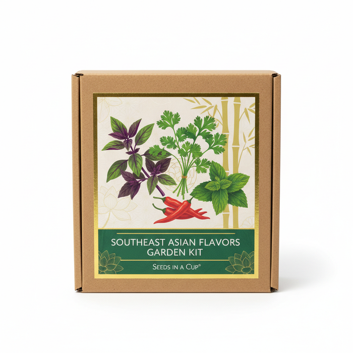 Southeast Asian Flavors Garden Kit | Basil, Cilantro, Mint & Jalapeno Pepper | Seeds In A Cup®