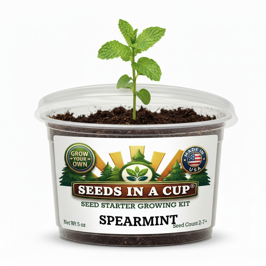Spearmint Grow Kit | Seeds In A Cup®