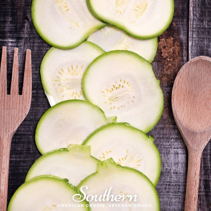 Zucchini Round Summer Squash – 25 Seeds