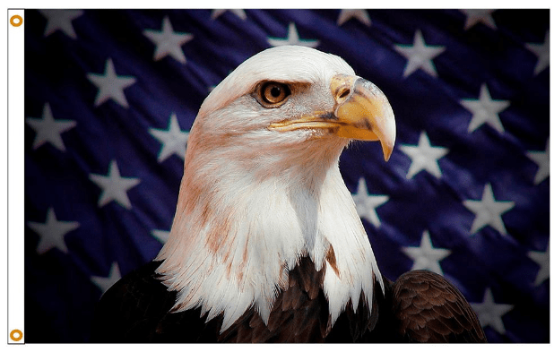 Starfield Eagle