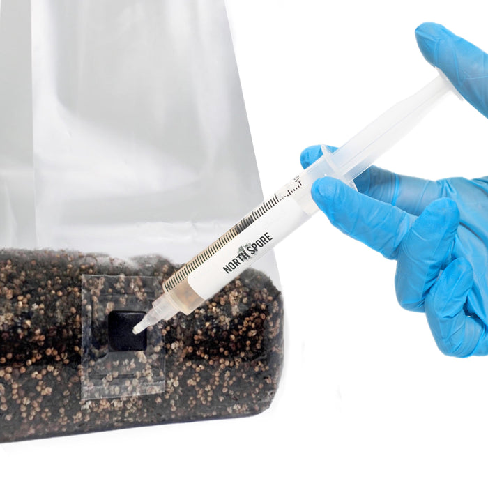 North Spore 'ShroomTek' All-In-One Mushroom Grow Bag by Farm2Me