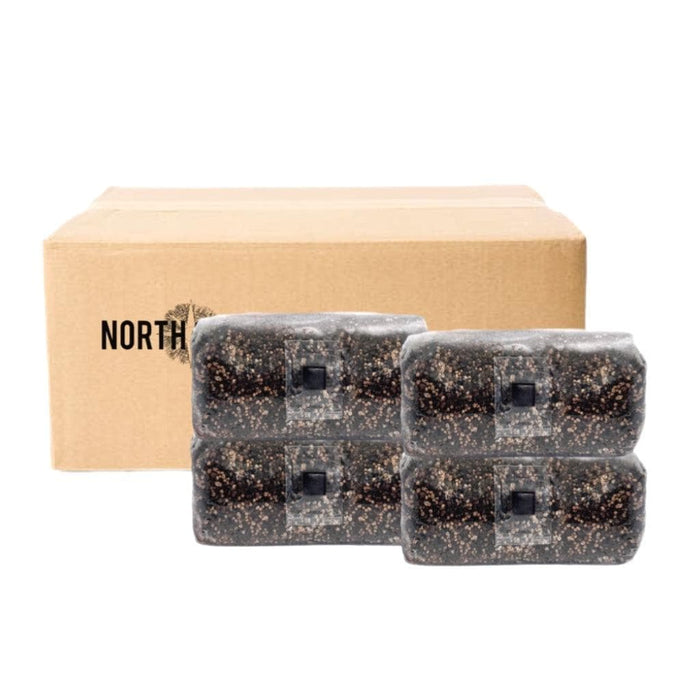 North Spore 'ShroomTek' All-In-One Mushroom Grow Bag by Farm2Me