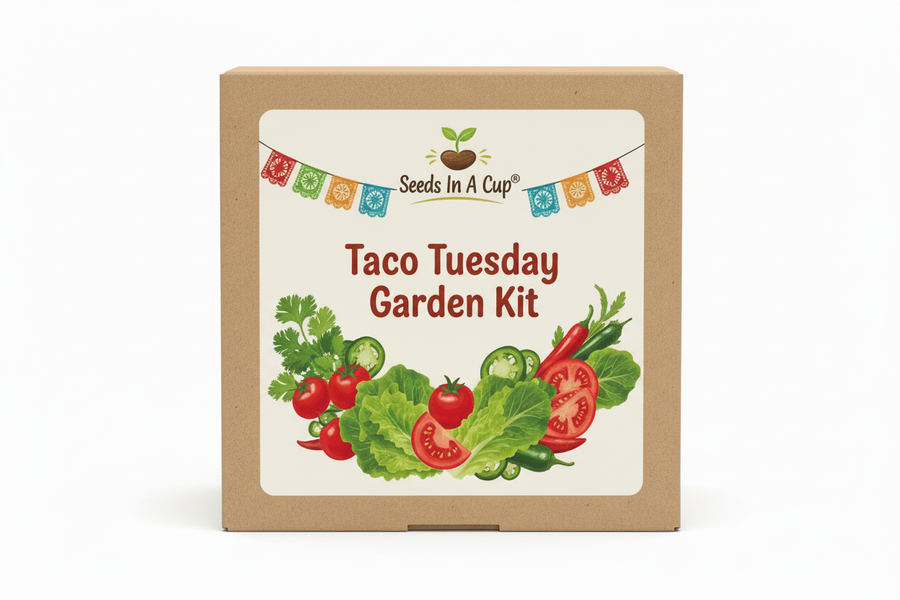 Taco Tuesday Garden Kit | Tomato, Cilantro, Lettuce & Jalapeno Pepper | Seeds In A Cup®