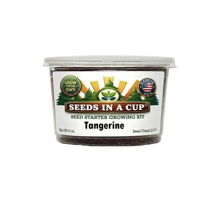 Tangerine Tree Grow Kit | Seeds In A Cup®