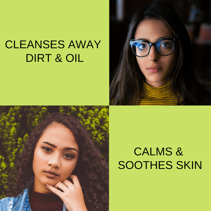 Tea Tree Purifying Facial Cleanser by BH Dermcenter - 8 FL OZ / 237 ML Skincare Los Angeles Brands 