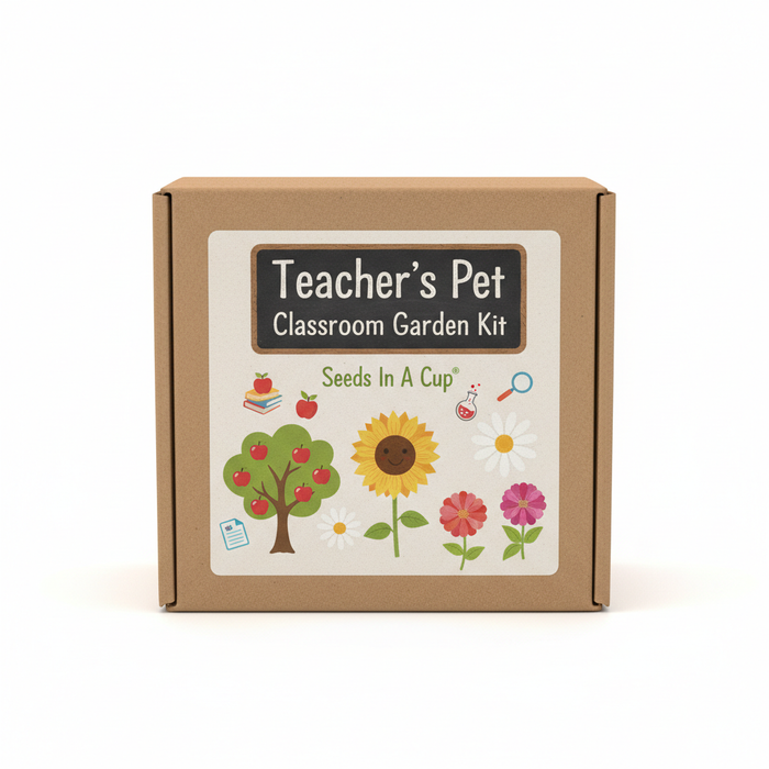 Teacher's Pet Classroom Garden Kit | Apple Tree, Sunflower, Daisy & Zinnia | Seeds In A Cup®