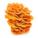 The Mushroom Hub - Dried Wild Mushrooms Assortment - Dried Wild Mushrooms | Delivery near me in ... Farm2Me #url#