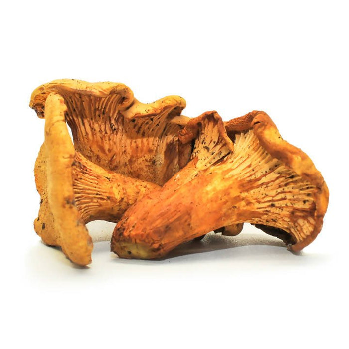 The Mushroom Hub - Dried Wild Mushrooms Assortment - Dried Wild Mushrooms | Delivery near me in ... Farm2Me #url#