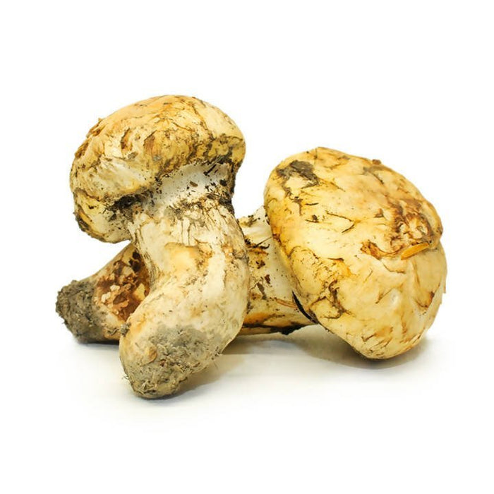 The Mushroom Hub - Dried Wild Mushrooms Assortment - Dried Wild Mushrooms | Delivery near me in ... Farm2Me #url#