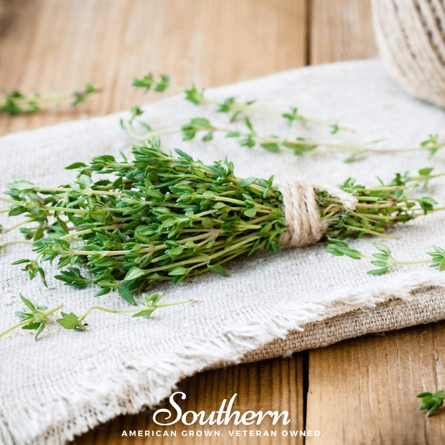 Common Thyme – 250 Seeds