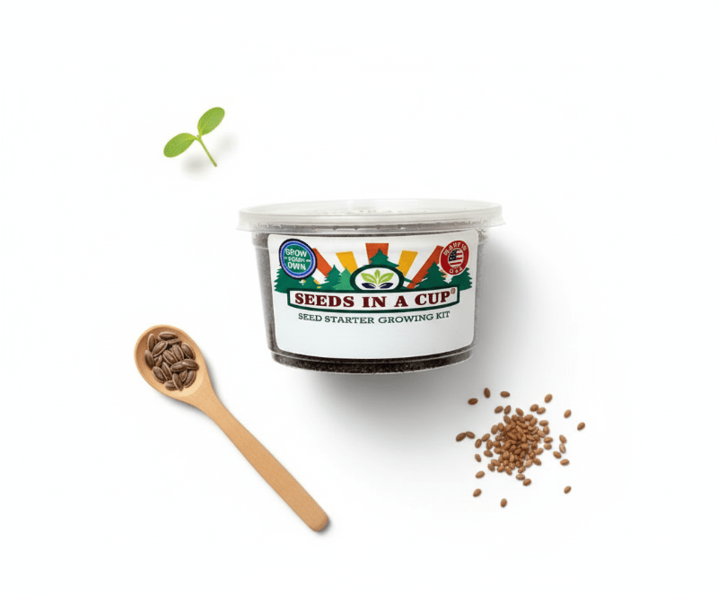 Radish Grow Kit | Seeds In A Cup®
