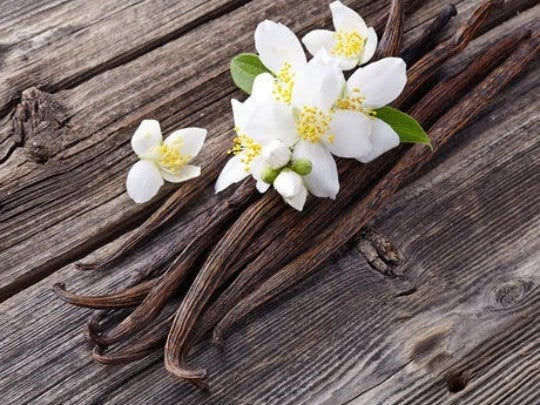 Vanilla Bean Infused Honey