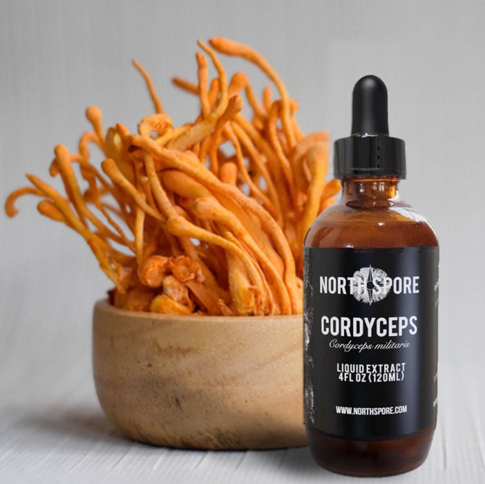 North Spore Cordyceps Mushroom Tincture by Farm2Me