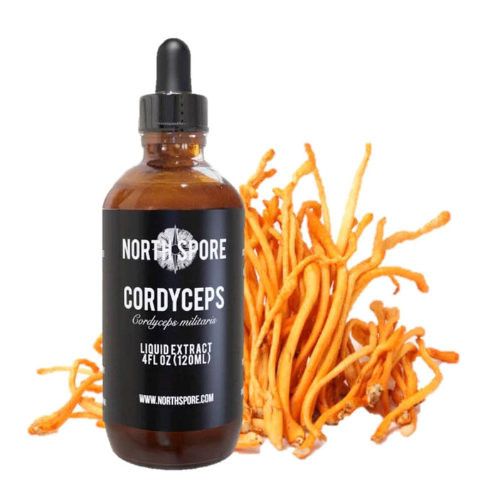 North Spore Cordyceps Mushroom Tincture by Farm2Me
