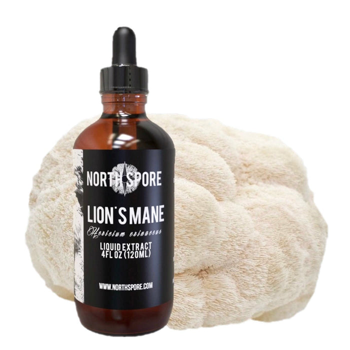 North Spore Lion's Mane Mushroom Tincture by Farm2Me