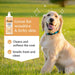 Waterless Dog Shampoo - Colloidal Oatmeal - 7.1oz Pet Grooming Frankie and Paisley Pet Products 