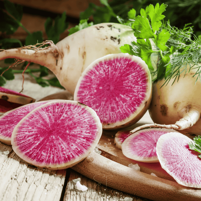 Watermelon Radish – 50 Seeds